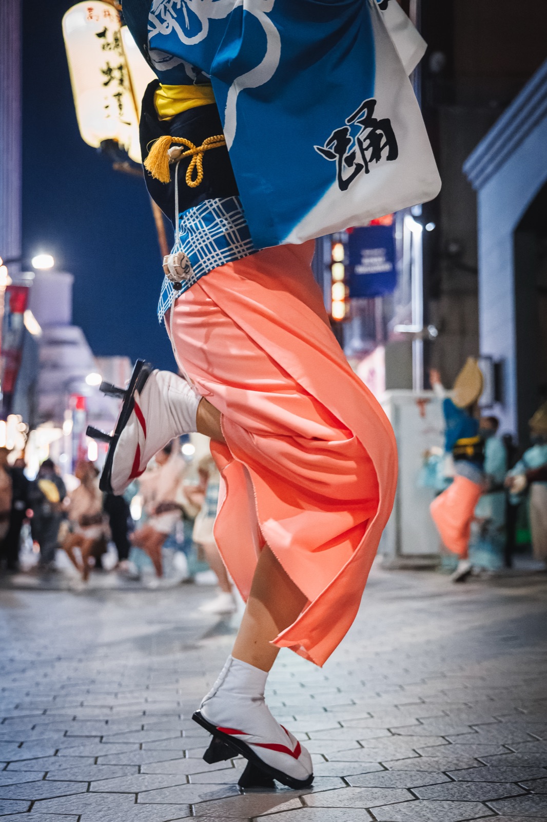 20230211 / 胡蝶蓮 / 浅草六区ブロードウェイ